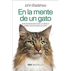 En la mente de un gato